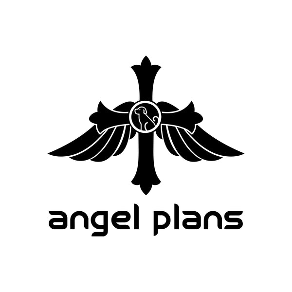 Angel plans